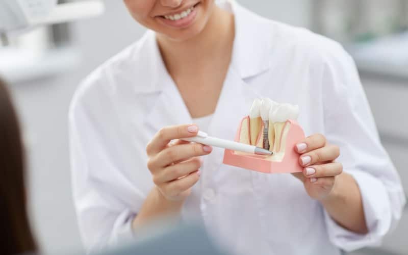 closeup smiling female dentist holding tooth model while consulting patient
